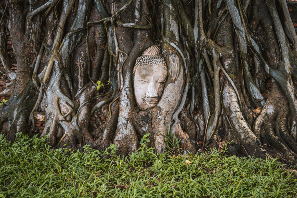 day trips from bangkok / day trip to Ayutthaya