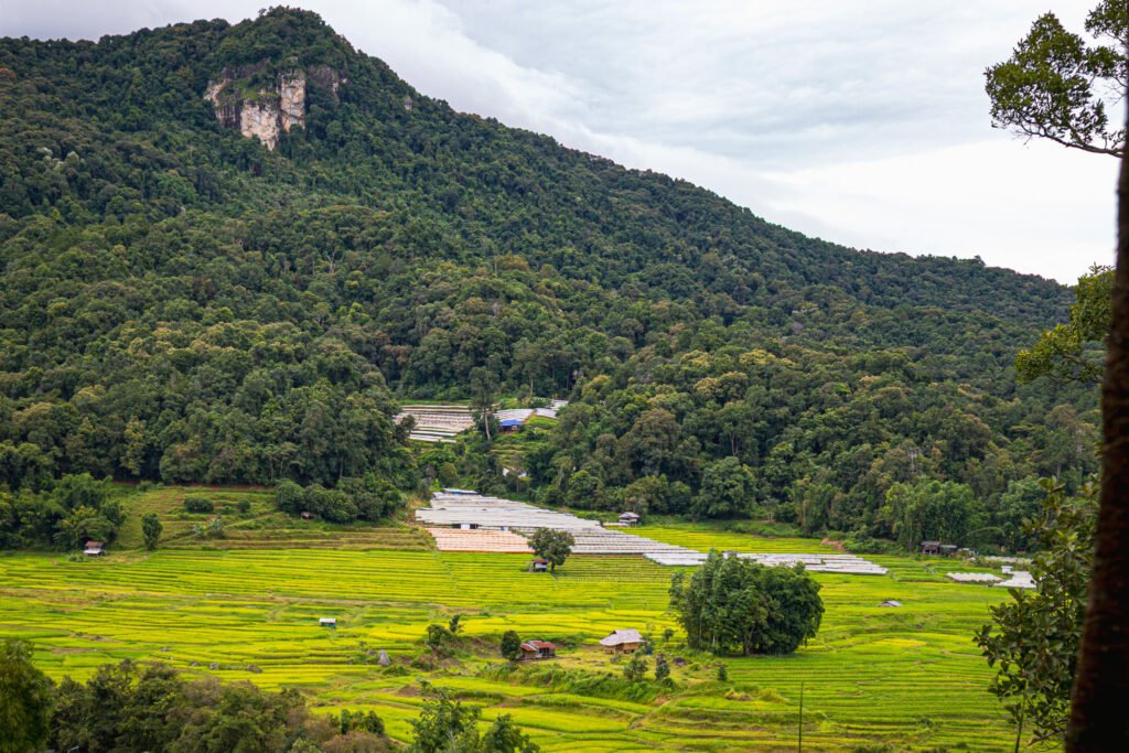 chiang mai travel guide
