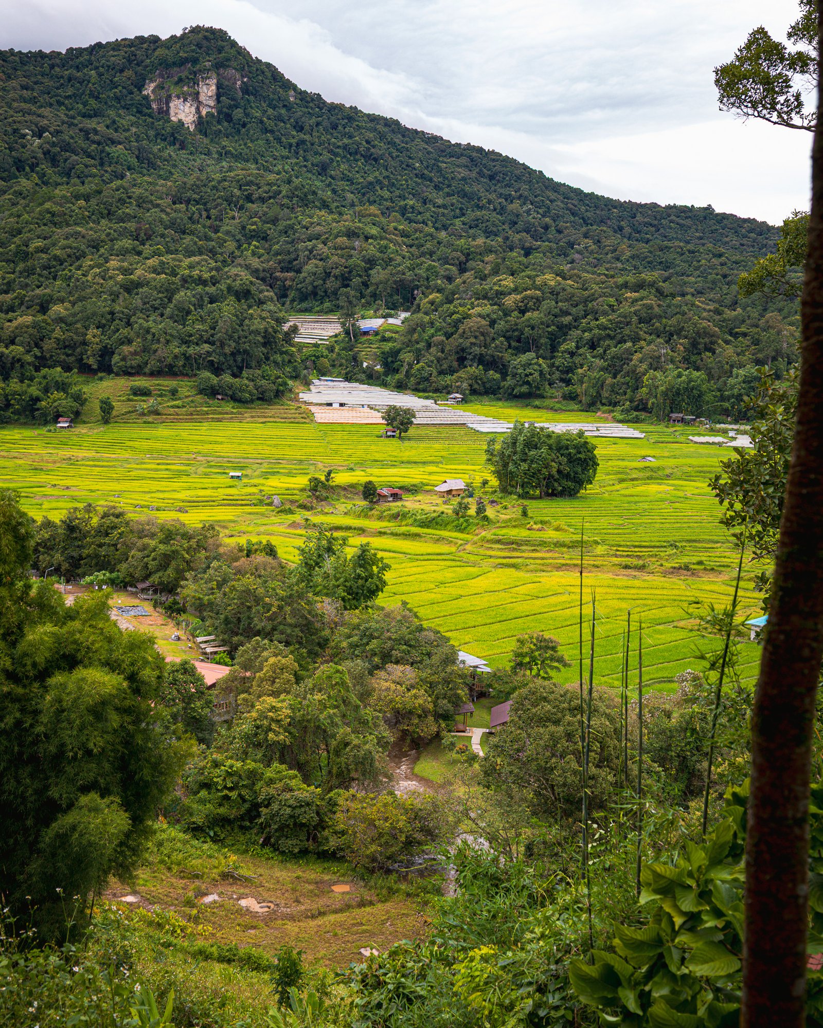 chiang mai travel guide