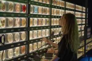things to do in Amsterdam with family