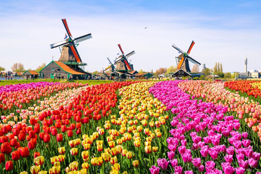 best day trips from amsterdam