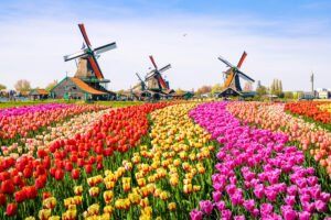 best day trips from amsterdam