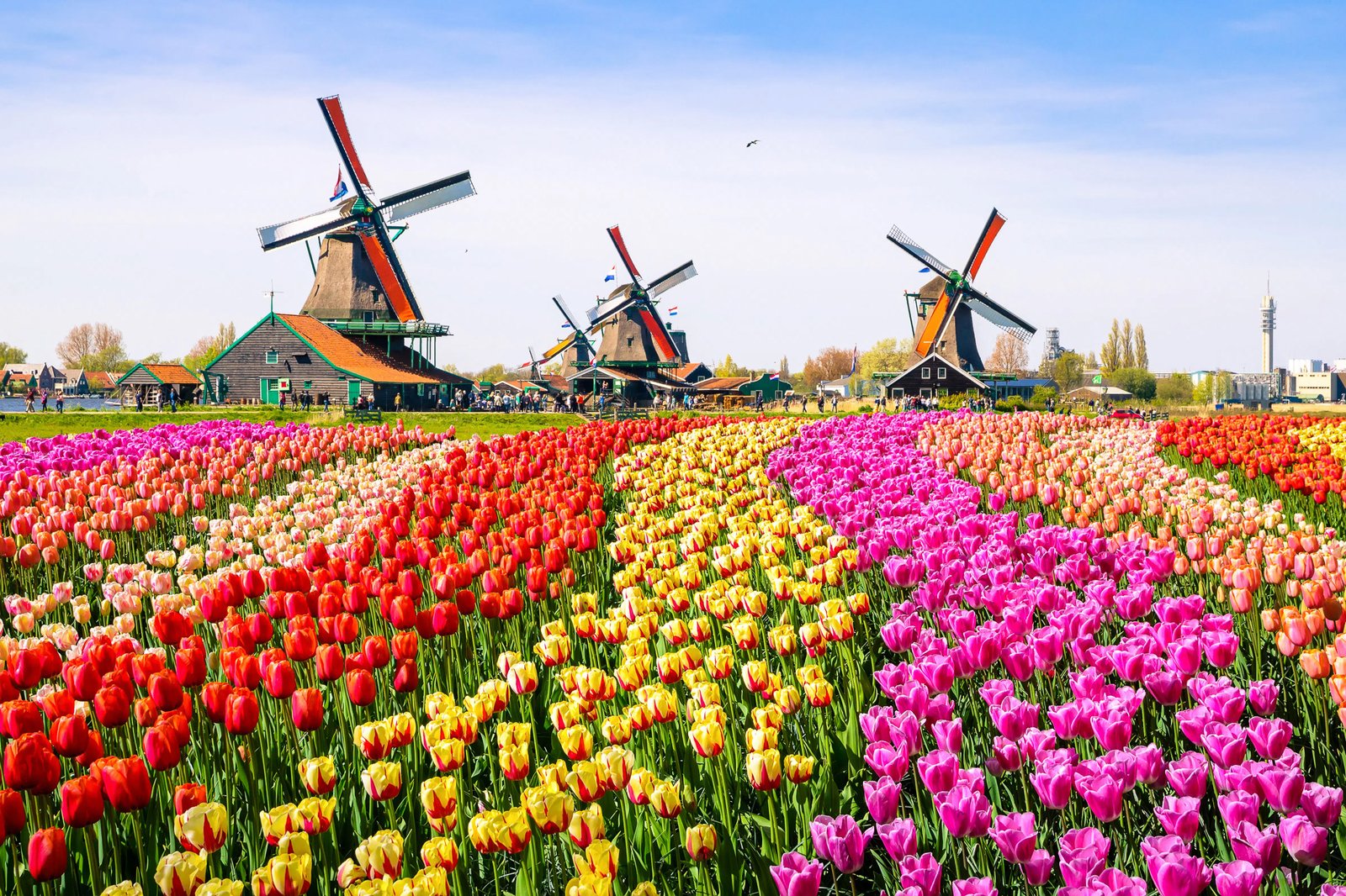 best day trips from amsterdam