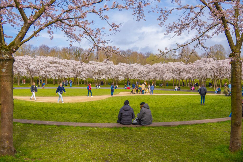things to do in Amsterdam with family