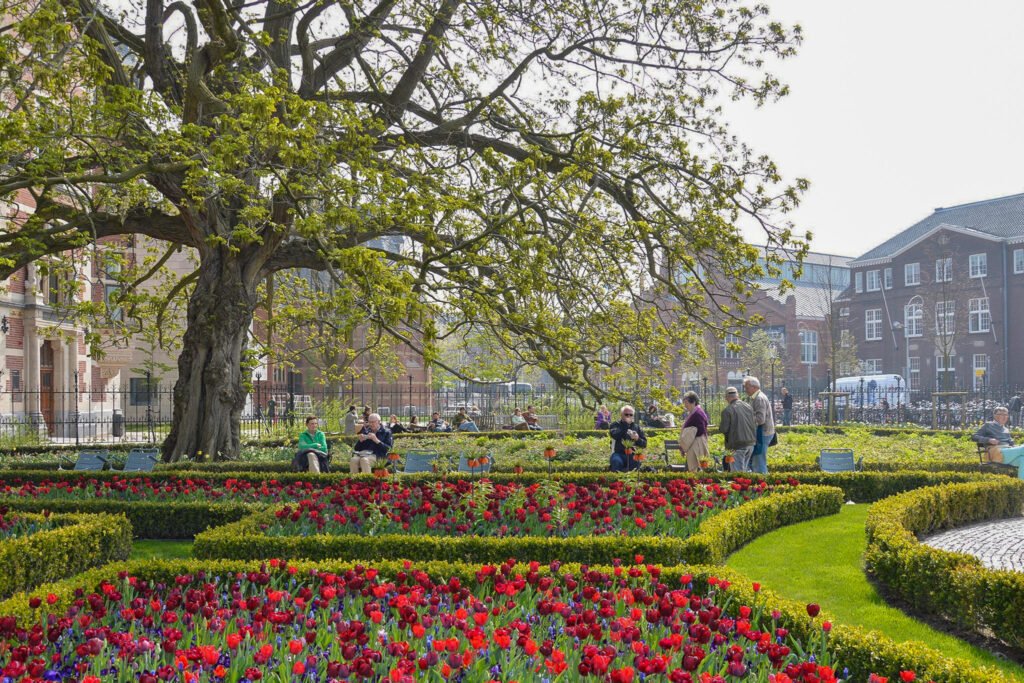 8d46cb47-1842-4d15-b7f3-a6402aa35288-2 things to do in amsterdam for free