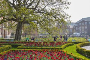 things to do in amsterdam for free