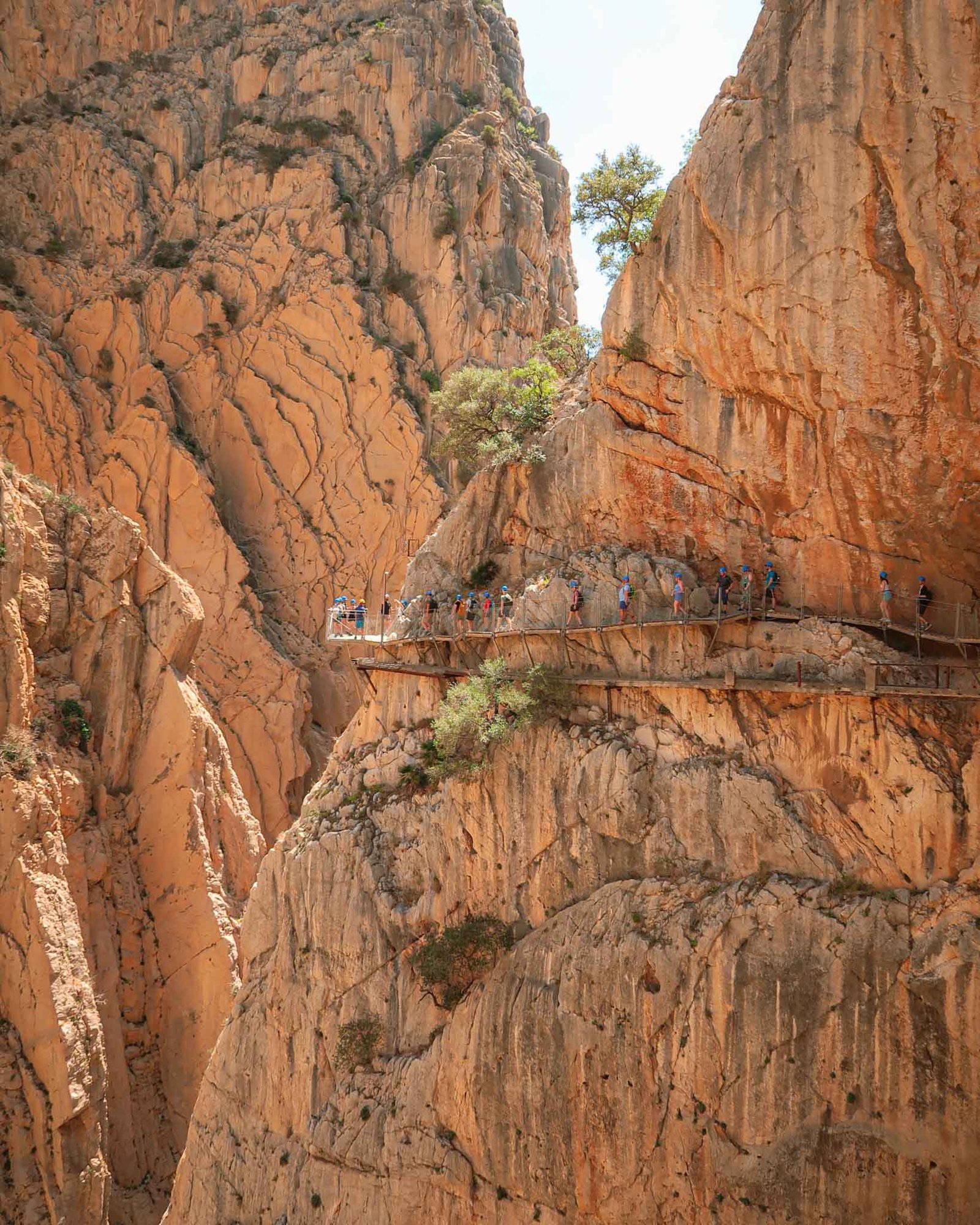 A group of people walks on a scenic walkway above a canyon at Caminito del Rey, Málaga, Spain, with dramatic cliffs nearby. Málaga Travel Guide.