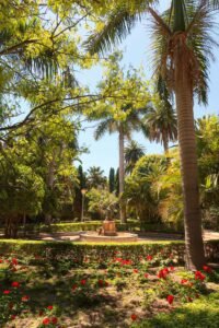 A scenic view of Parque de Málaga featuring a fountain surrounded by lush palm trees. Best Things to Do in Málaga.