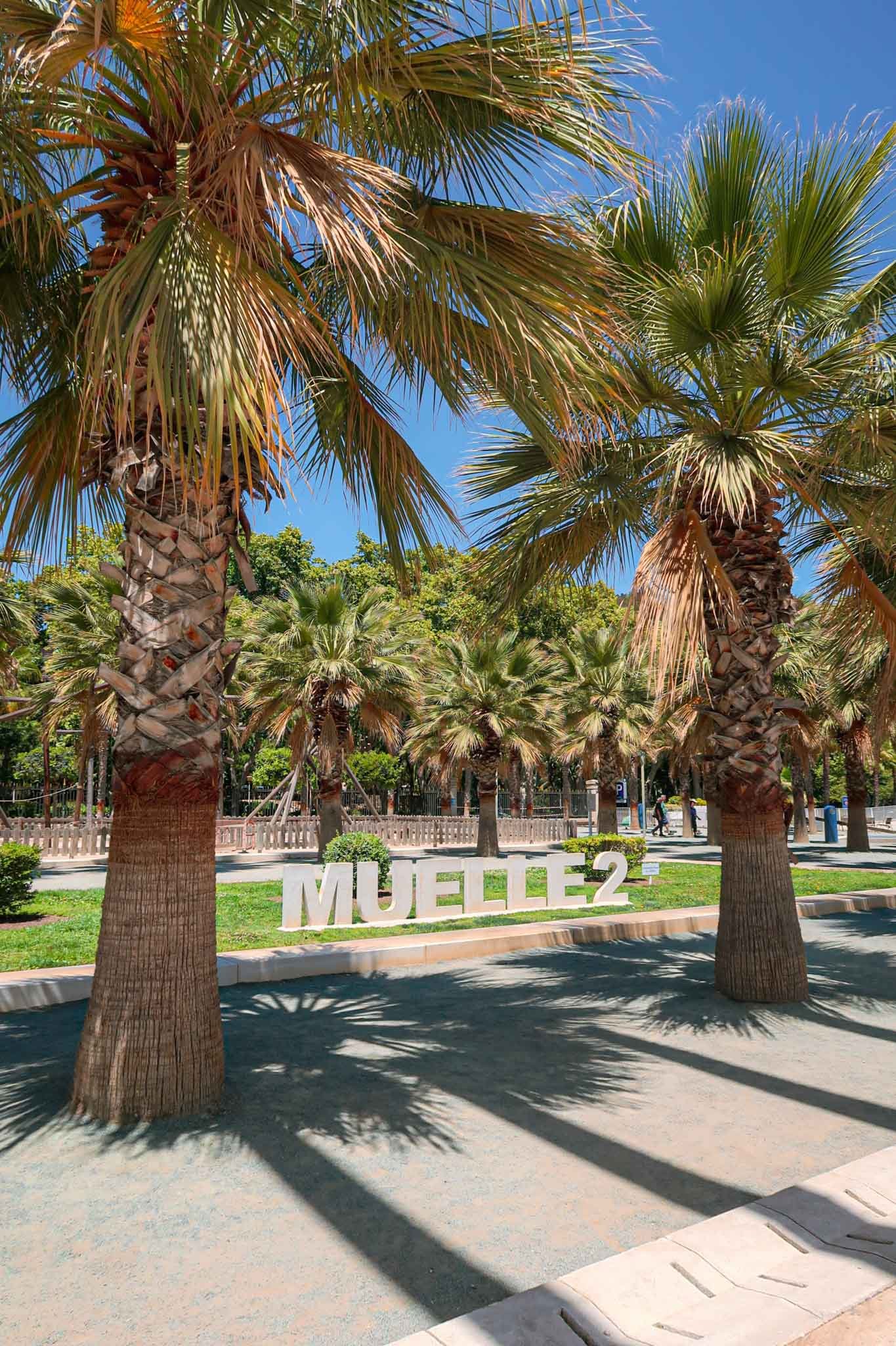 Palm trees in Palmeral de Las Sorpresas “The Palm Grove of Surprises” in Málaga, Spain - Yati Travel A sign reading "MUELLE 2" amidst palm trees in the Palm Grove of Surprises, Málaga, Spain. Best Things to Do in Málaga.