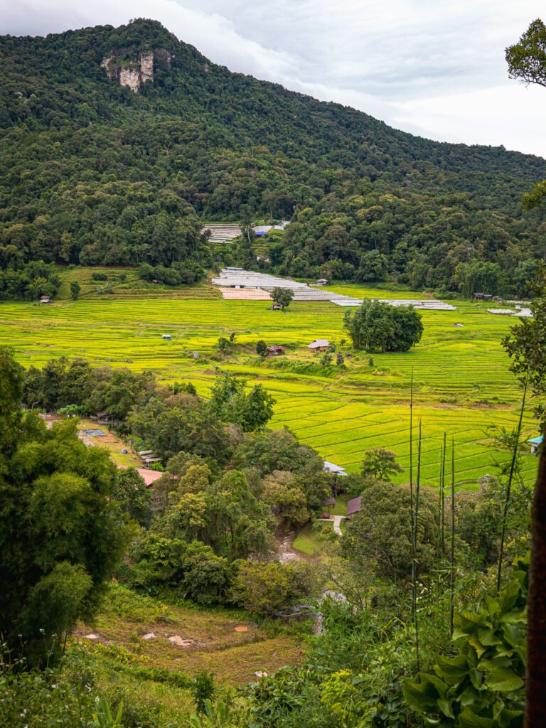 🇹🇭 Chiang Mai